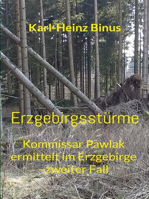 cover image of Erzgebirgsstürme